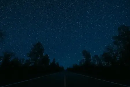 Rumanía superará el umbral psicológico de 1.200 km de viñeta en 2024. ¿Cuáles son las promesas para 2025?