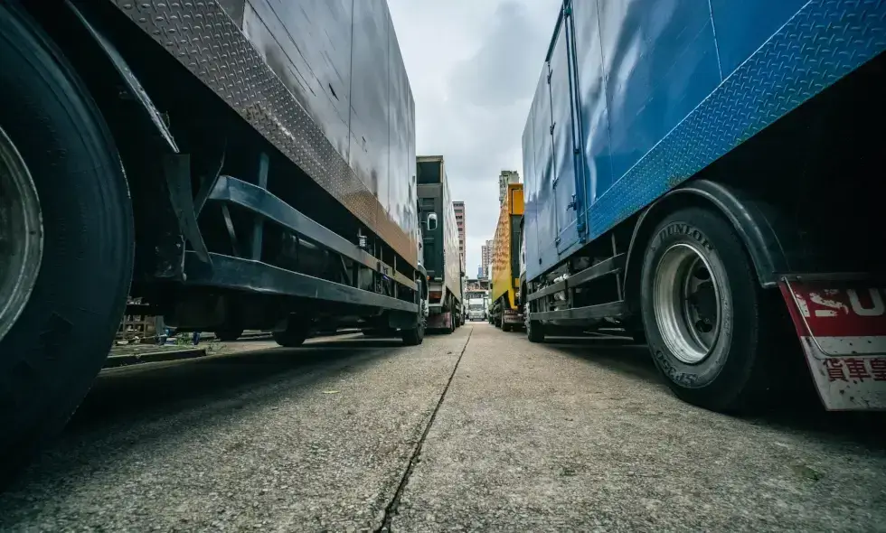 Macaristan'da vi̇nyet: Macaristan'daki araç trafiğinin en önemli unsurları.