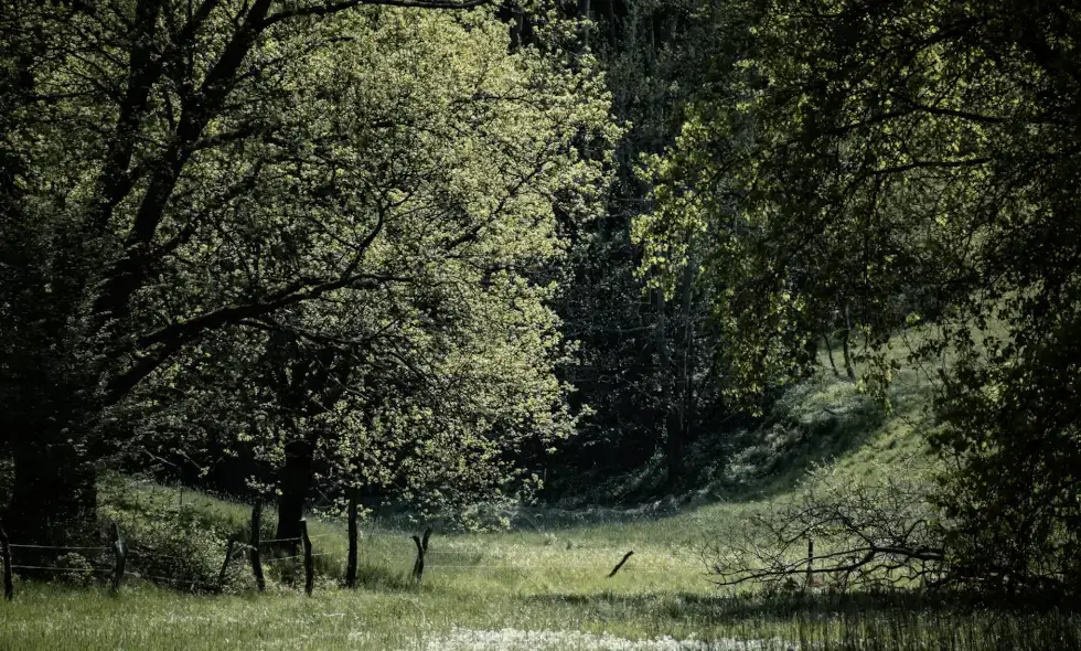 Чешское автоприключение: открытие на четырёх колёсах
